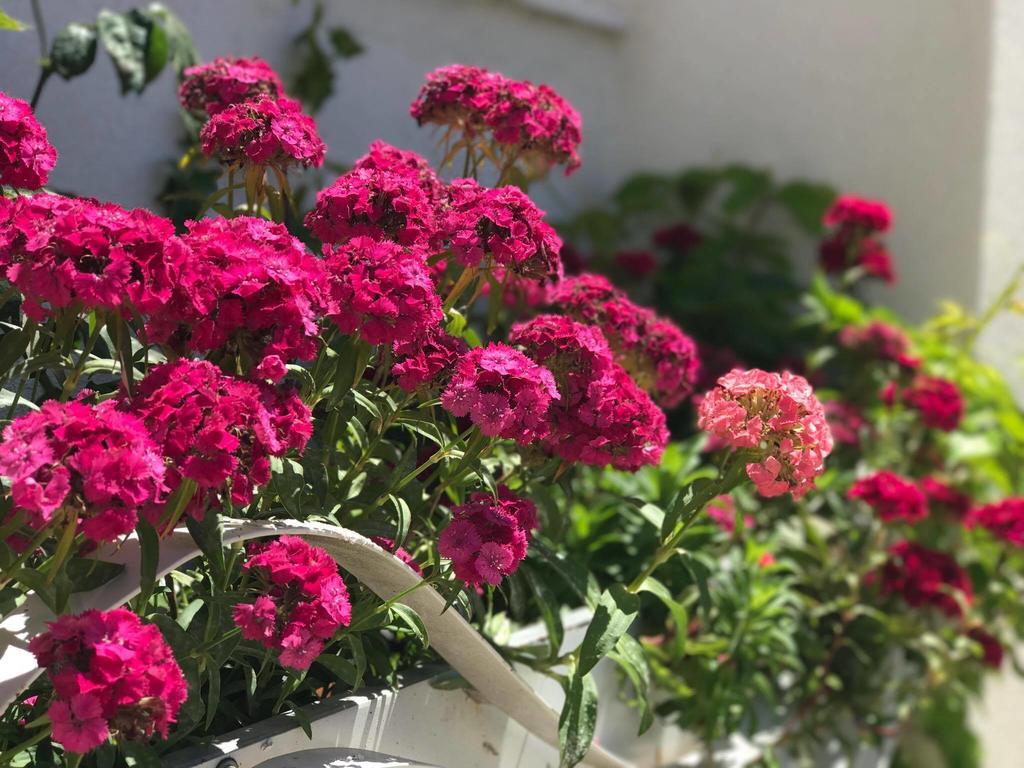 Sunny Bay Apartments ساراندا المظهر الخارجي الصورة