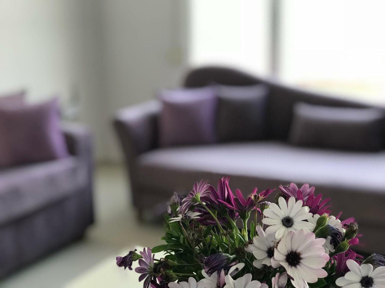 Sunny Bay Apartments ساراندا المظهر الخارجي الصورة